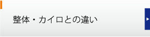 整体・カイロとの違い